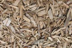 biomass boilers Logie Coldstone